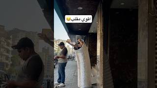 اقوي مقلب هتموت من الضحك😂funny foryou fyp shortvideo viralvideo [upl. by Puttergill288]