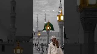 Titliyon ke Ajeeb sath Hai madine mein 💐💐💐🕋🕋🕋💐💐💐 [upl. by Gerik971]