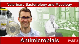 Antimicrobials Part 2  Veterinary Bacteriology and Mycology [upl. by Atteloiv]