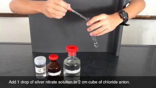 Testing of Chloride Anion  silver nitrate and nitric acid [upl. by Brittani]