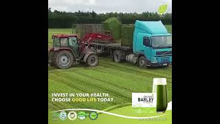 JC Organic Barley [upl. by Lettig]