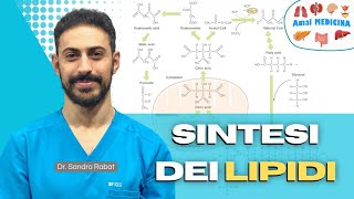 Biosintesi dei lipidi [upl. by Ydeh]