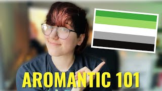 Aromantic 101 [upl. by Eustashe]