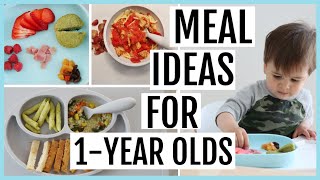 What My Toddler Eats in a Week  1YEAROLD MEAL IDEAS [upl. by Mendelsohn]