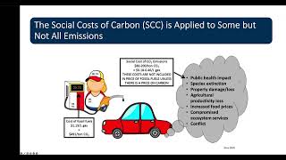 The Social Cost of Carbon and Integrated Assessment Models [upl. by Pearla]