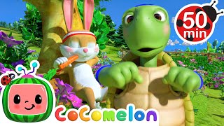 The Tortoise and the Hare  Cocomelon  Kids Cartoons amp Nursery Rhymes  Moonbug Kids [upl. by Talbert]