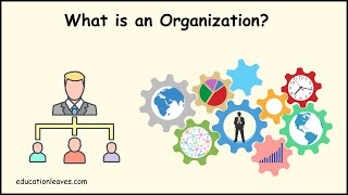 What is an Organization  Elements Process importance of Organization [upl. by Grenville834]