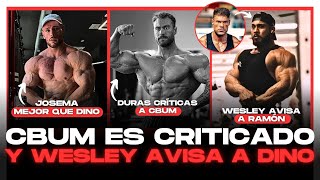 CBUM ES CRITICADO  JOSEMA VS FABIONY  RAMON DINO ES AVISADO POR WESLEY [upl. by Ylurt]