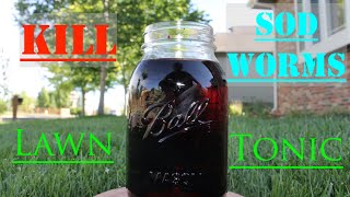 Kill Sod Webworms with Homemade Lawn Tonic [upl. by Horten345]