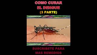 Como Prevenir El Dengue ⇑ El Dengue Sintomas Y Prevencion 3 PARTE [upl. by Nylarac51]