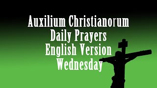 Auxilium ChristianorumWednesdayFather Ripperger Recommended Prayers English Prayers [upl. by Auhsej]