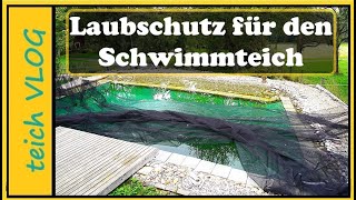 Blätter im Teich Wir testen die einfache Lösung mit dem Laubnetz [upl. by Ahseinod]