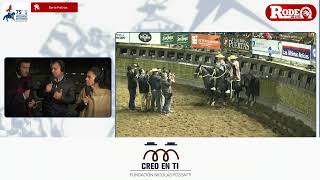 Serie Potros  75º Campeonato Nacional de Rodeo 2024 [upl. by Batory]