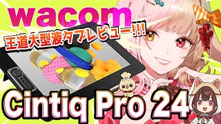 【Wacom Cintiq Pro 24】Cintiq Pro 27は高い…！ならこっちを買えばいいじゃない！【レビュー】 [upl. by Ardenia633]