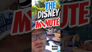 The Disney Minute  Weekly Update on Disney News for Nov 15 [upl. by Aissak]