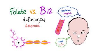 Folate Deficiency vs Vitamin B12 Deficiency  Diet and Nutrition  Hematology [upl. by Dloreg]