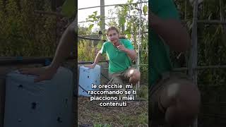 Come posso COLTIVARE FUNGHI  GUARDA IL VIDEO COMPLETO shorts [upl. by Ingham]