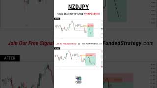 NZDJPY VIP Signal Result 160 Pips Profit  forex [upl. by Bonnes]