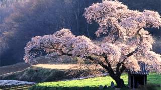 Raymond GalloisMontbrun  Symphonie japonaise [upl. by Claudie163]