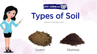 Types of Soil  Loam Humus  Components of Soil  Properties of Soil  Soil Types  Science [upl. by Alma]