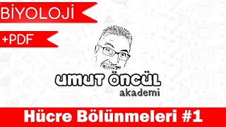 Biyoloji  TYT  Hücre Bölünmeleri 1  PDF [upl. by Aillij]