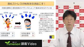 食品は生活習慣病の予防に役立つか？＿神内 伸也先生【城西大学】 [upl. by Alyacim104]