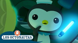 Los Octonautas  Temporada 1  Episodio 35 completo  Episodios Completos [upl. by Buddy]