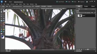 Learn how to remove Chromatic Aberration with Adobe Photoshop Elements 10 [upl. by Publia]