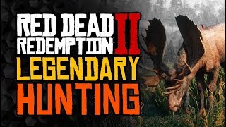 Guide For HUNTING And LEGENDARY Animals  Red Dead Redemption 2 [upl. by Navonod]