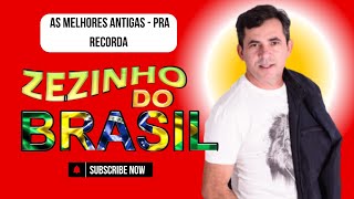 As 20 melhores Weliton Zezinho Do Brasil [upl. by Merfe59]