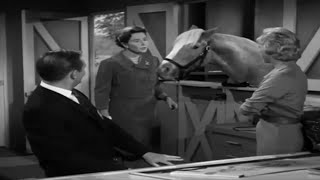 Mister Ed Season 1 Episode 8 1961 Pageant Show [upl. by Germain36]