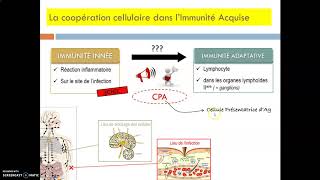 CBSV  Rôle CPA et coopération cellulaire [upl. by Ordnasil]