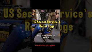 Robot Dogs The Future of Security robotdog [upl. by Dicky]