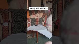 Nessys toys ccto shortvideo fypspotted trendingshorts fypシ viral youtubeshort [upl. by Derayne657]