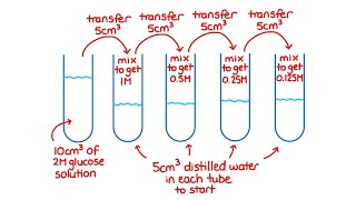 Serial Dilution Calculations Examples [upl. by Tennek]