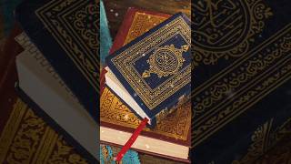 Quran Ki Ahmiyat Aur Quran ki Fajilat  Shorts YoutubeShort [upl. by Forras647]