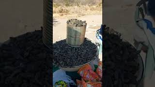 Mopane worms  Lunch Anyone [upl. by Oicatsana392]