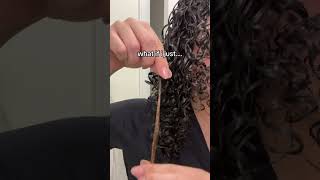 I’TS NOT PERMANENT  curly curlyhairstyles foryou hair hairgrowth fypシ゚viral afro [upl. by Kroy590]