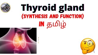 Thyroid gland Thyroid hormonesynthesis functionmedicos tamizha🤔 [upl. by Dijam985]