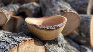 Turning a Red Oak wood bowl on a 12” lathe  Rough Turn [upl. by Sanborne]