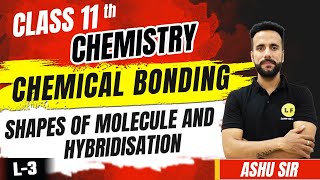 Class 11 Chemistry Chapter 4  Chemical Bonding L3  Shapes Of Molecules amp Hybridisation  Ashu Sir [upl. by Annoerb]