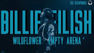 “WILDFLOWER” by Billie Eilish but you’re in an empty arena [upl. by Horatia]