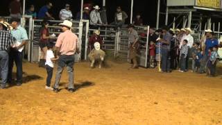 Jaripeo y Niños montando a los Borregos [upl. by Temme]