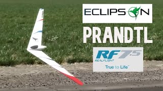 Eclipson PRANDTL wing for free in Real Fllight simulator [upl. by Eadnus]