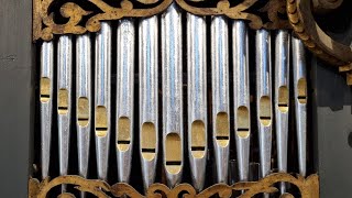 Toccata in d  BuxWV 155  Dietrich Buxtehude [upl. by Donela]