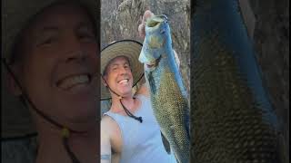 Tulloch lake huge bass [upl. by Ecirtap154]