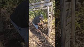 Lets Build a Woodshed Preparing for Winter Part 2 homesteading building preparation woodshed [upl. by Sokem756]