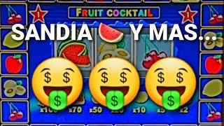 SANDIA 🍉 Y MAS 🤪 AL MÁXIMO 🤑🤑🤑  Moneditas Oficial 🍓 [upl. by Nodnarg365]