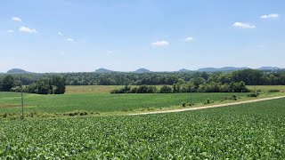 One of the Best Views Overlooking the Ancient Mound Complex In Pike County Missouri [upl. by Aicaca]