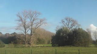 Natuur in Vlaanderen  met de trein van Gent naar Oostkamp [upl. by Benenson]